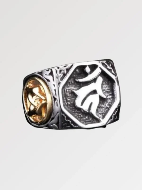 anillo hokuto simbólico