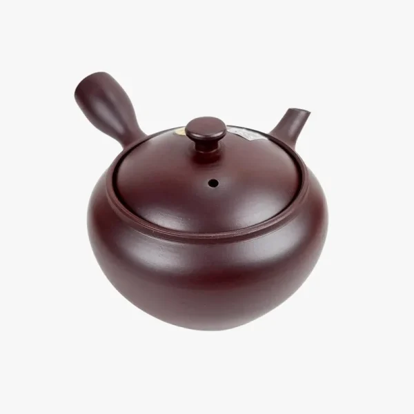 tetera Kyusu japonesa tradicional